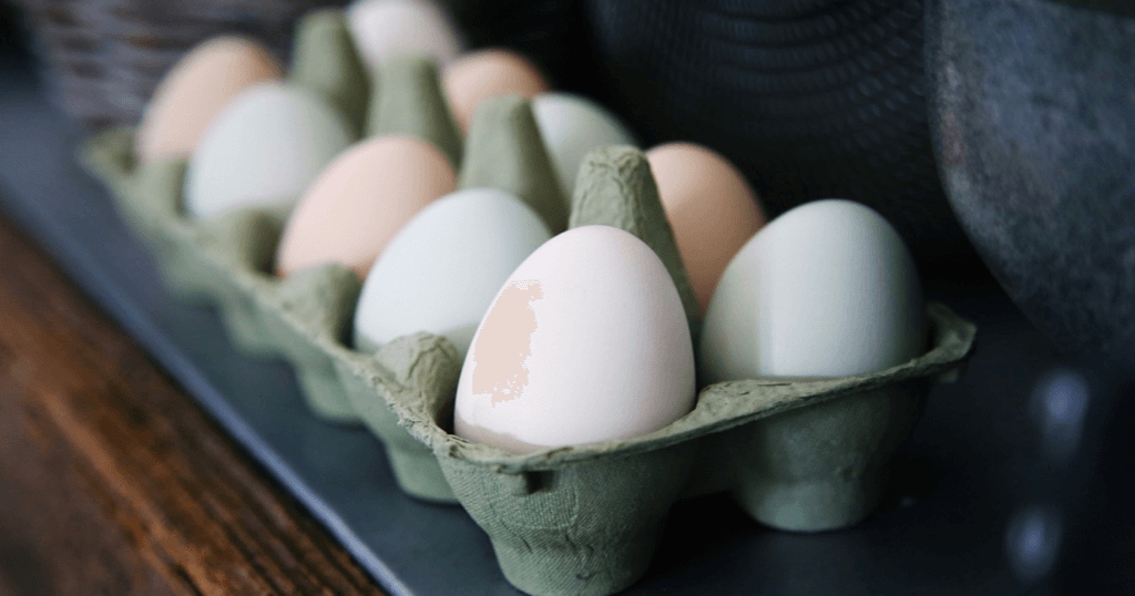 Eggs in a Carton