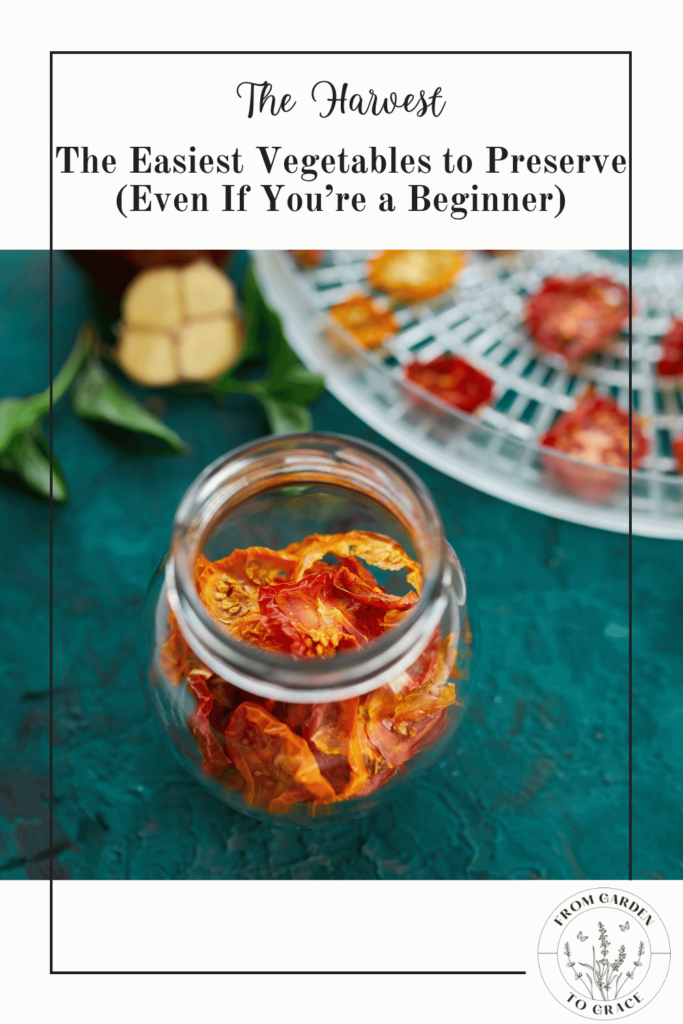 Dehydrating Tomatoes